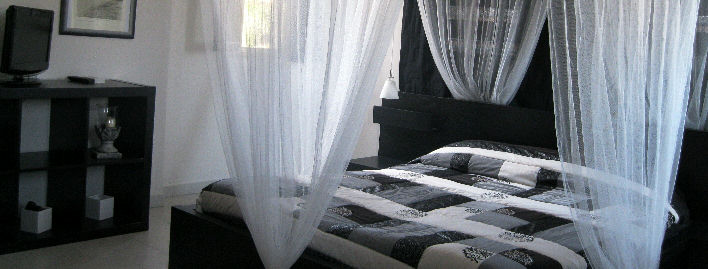 Trisk&egrave;les Camera Aria